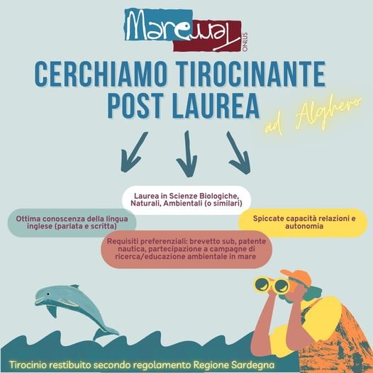 Tirocionio post laurea